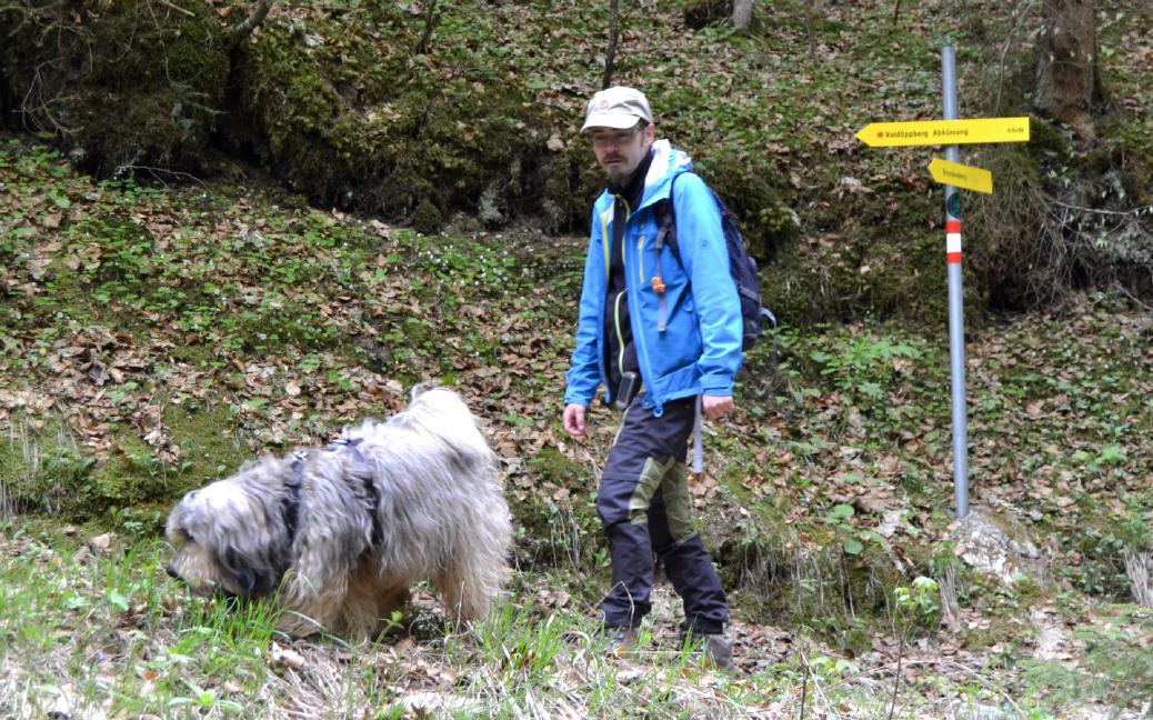 Abkürzung im Wald